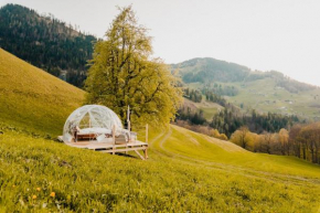Bubble-Suite in Graubünden Versam